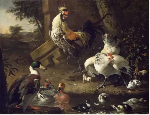 Geflügel - Melchior de Hondecoeter