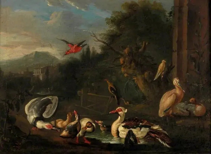 Geflügel - Melchior de Hondecoeter