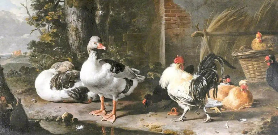 Geflügel und Gänse - Melchior de Hondecoeter