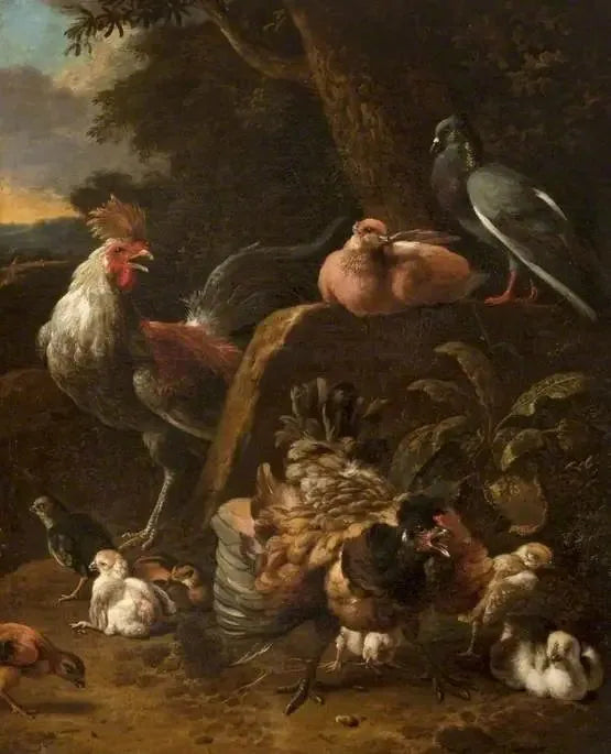 Geflügel und Tauben - Melchior de Hondecoeter