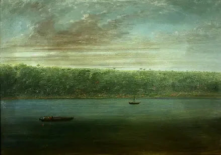 Vue de la rive de l'Amazone - Croquis de bateau - George Catlin image 1 reproduction réalisée par Alpha Reproduction