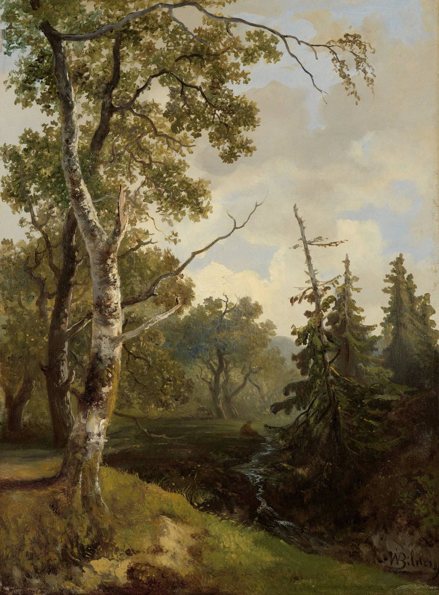 Vue sur la forêt près de Wolfheze - Johannes Warnardus Bilders