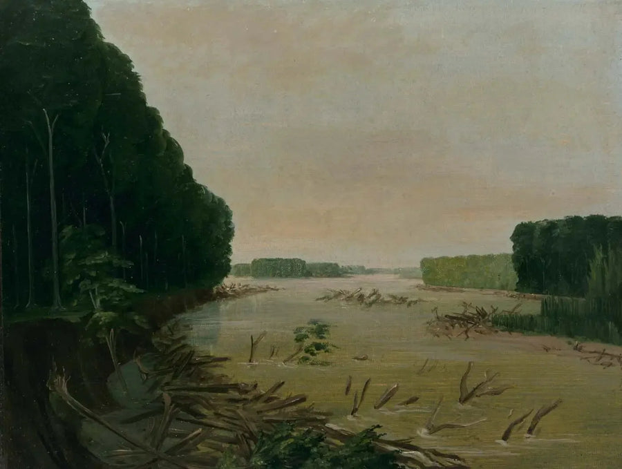 Blick auf den Missouri, die alluvialischen Ufer stürzen ab, 966 Kilometer oberhalb von Saint-Louis - George Catlin