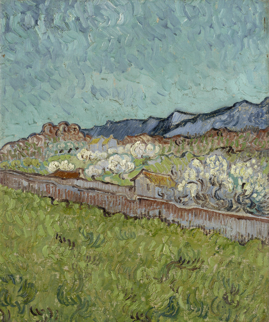 Blick auf die Alpilles - Vincent van Gogh