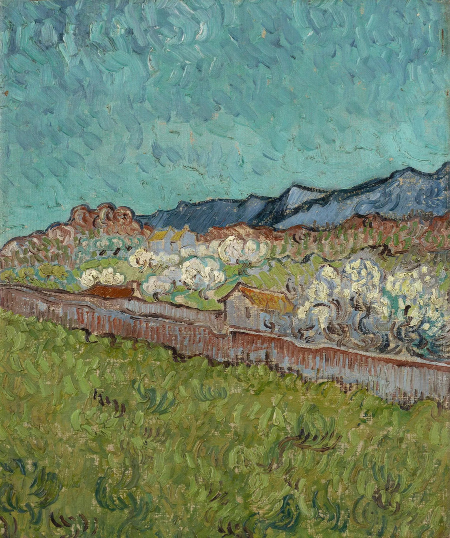 Blick auf die Alpilles - Vincent van Gogh