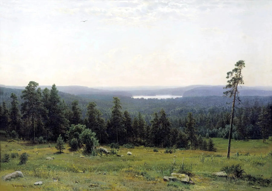 Fernsicht des Waldes - Ivan Chichkine