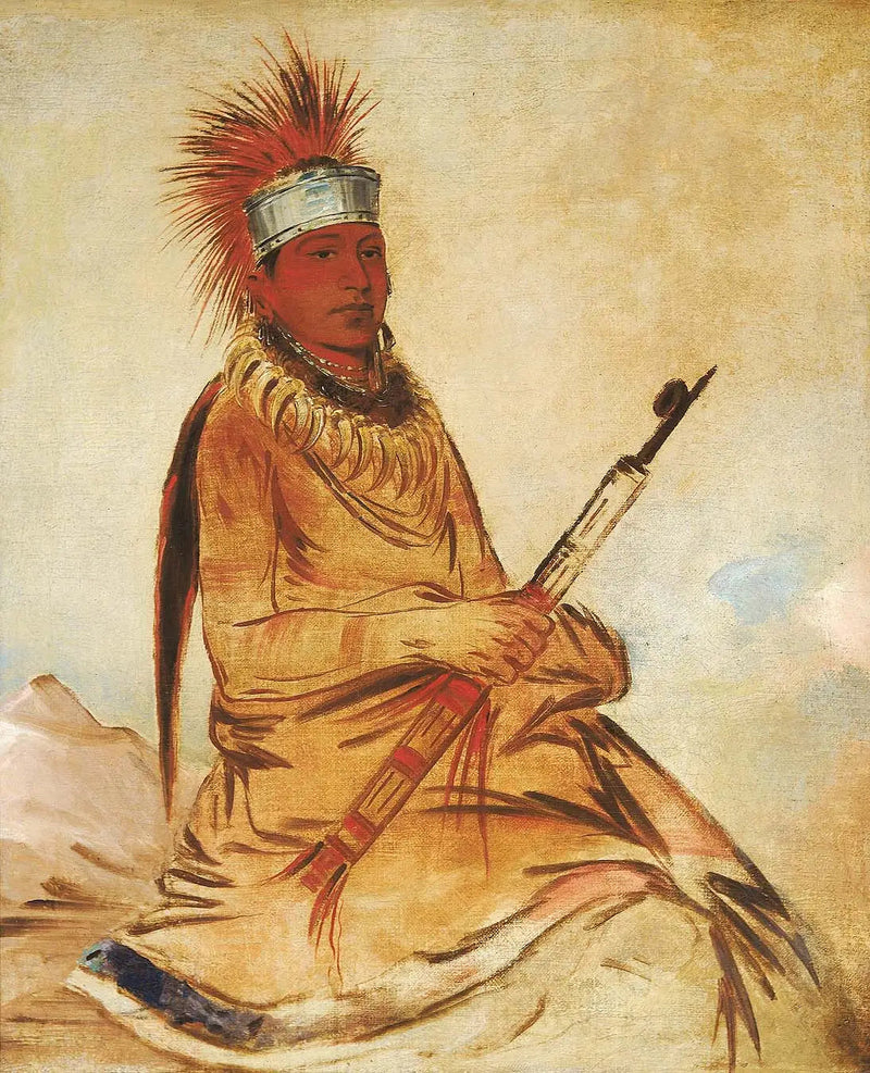 W'y-ee-yogh, Mann des gesunden Menschenverstands, ein tapferer - George Catlin
