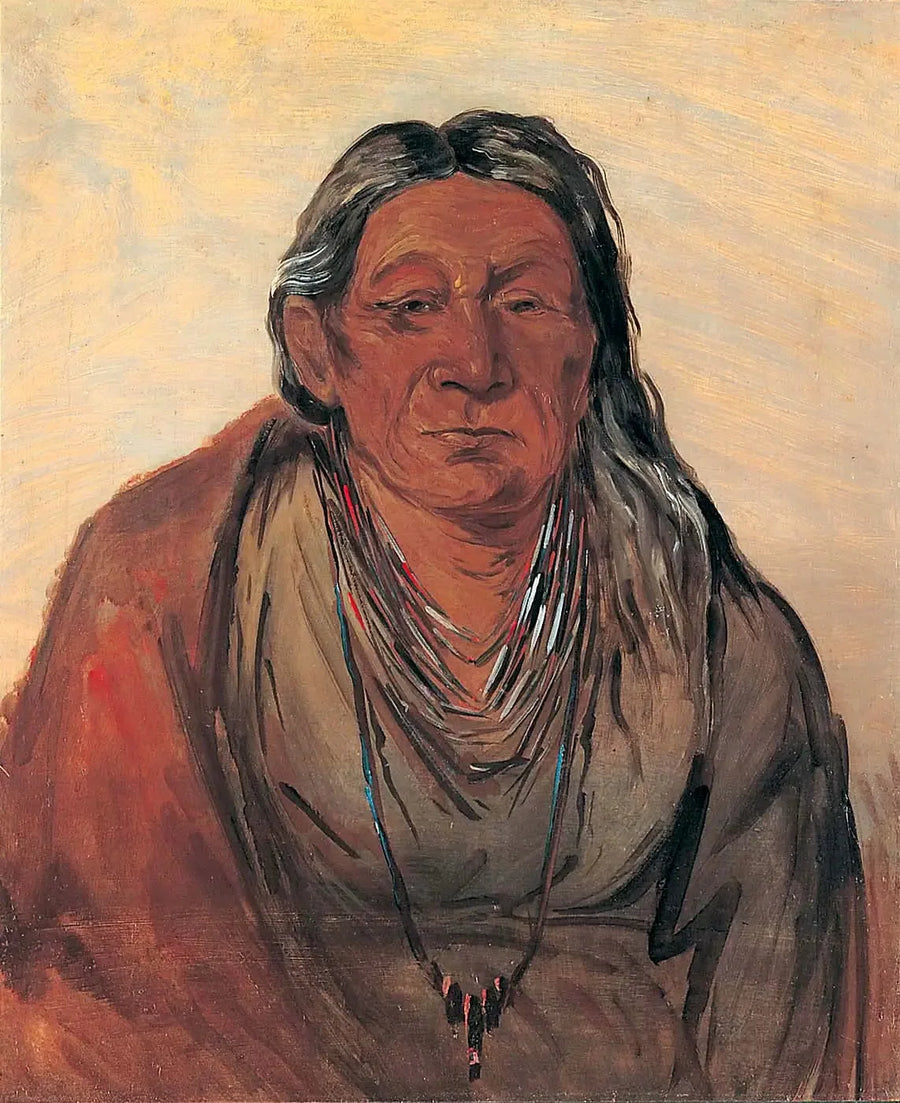 Wah-pe-séh-see, Mutter des Häuptlings - George Catlin