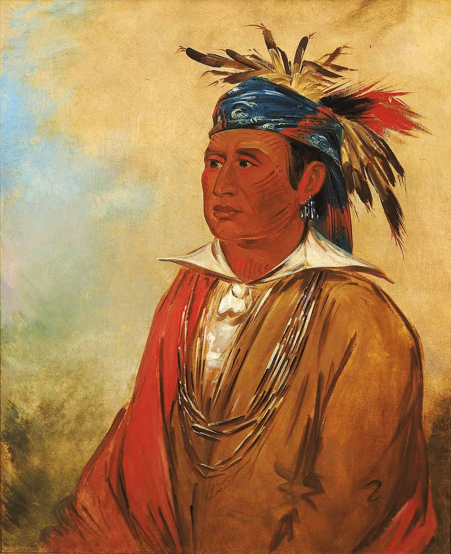 Wah-pón-jee-a, Der Schwan, ein Krieger - George Catlin