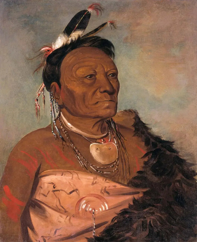 Wee-tá-ra-shá-ro, Häuptling der Stammes - George Catlin