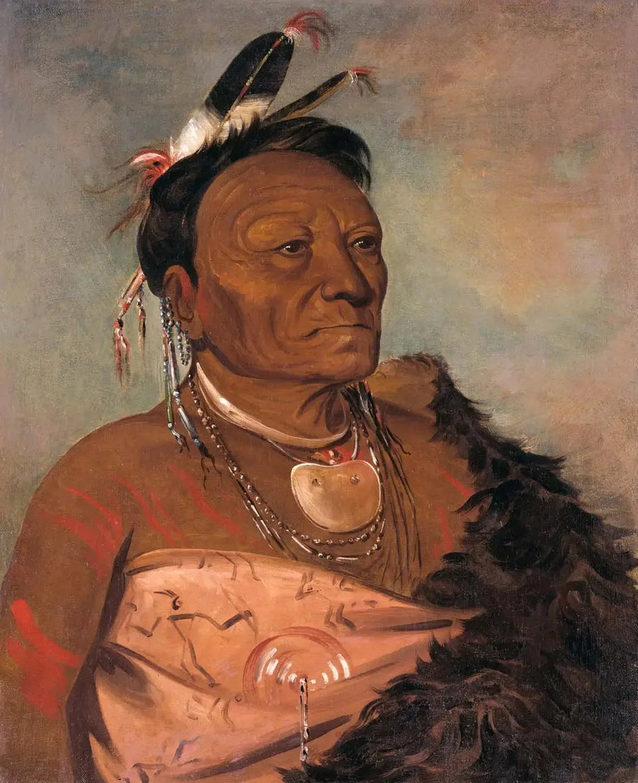 Wee-tá-ra-shá-ro, Häuptling der Stammes - George Catlin