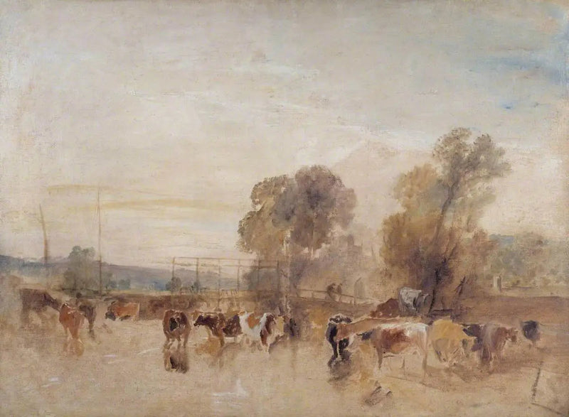 Weir und Vieh - J. M. W. Turner