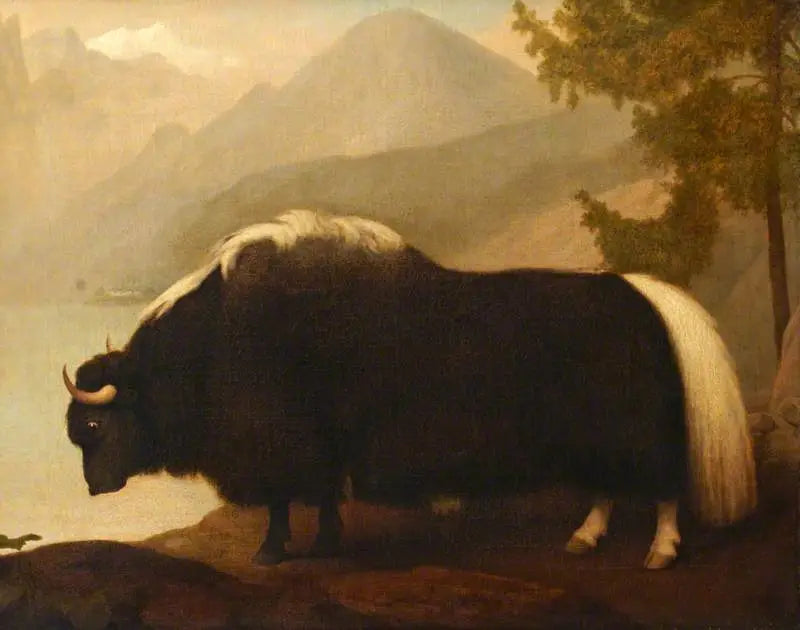 Yak - George Stubbs image 1 copie de tableau peinte à la main