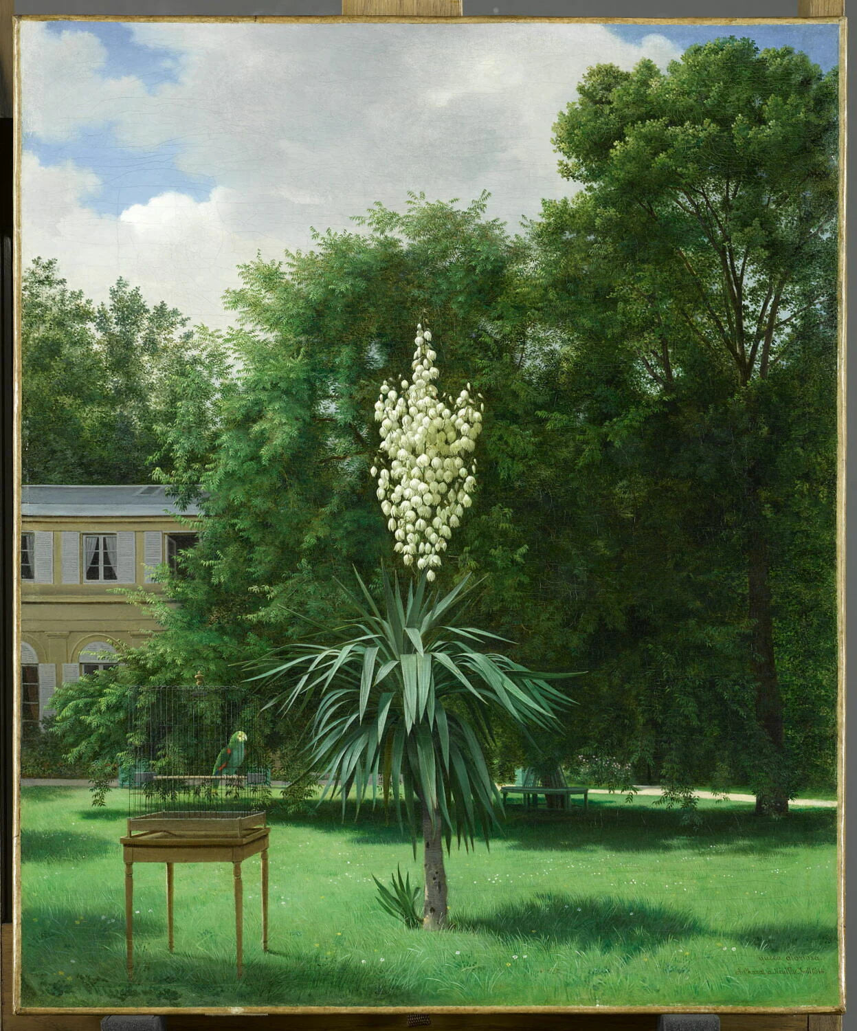 Le Yucca gloriosa, fleuri en 1844 dans le parc de Neuilly - Antoine Chazal