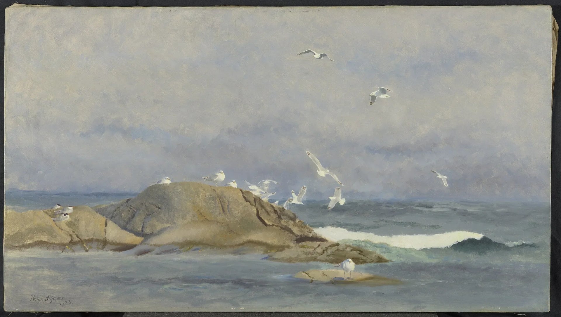 Zilvermeeuwen en sterns op de scheren voor de Scandinavische kust - Bruno Liljefors image 1 copie de tableau peinte à la main